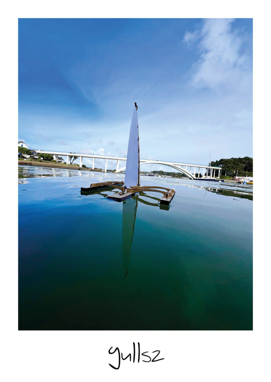 SPI Ouest de la trinité sur mer