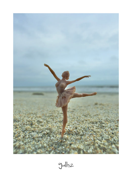 Affiche la Ballerine